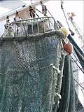 Guy Fanguy - Artist - Photographer - Guy Fanguy - Scenic - Shrimp Boats - Louisiana (17).jpg Size: 156279 - 9
